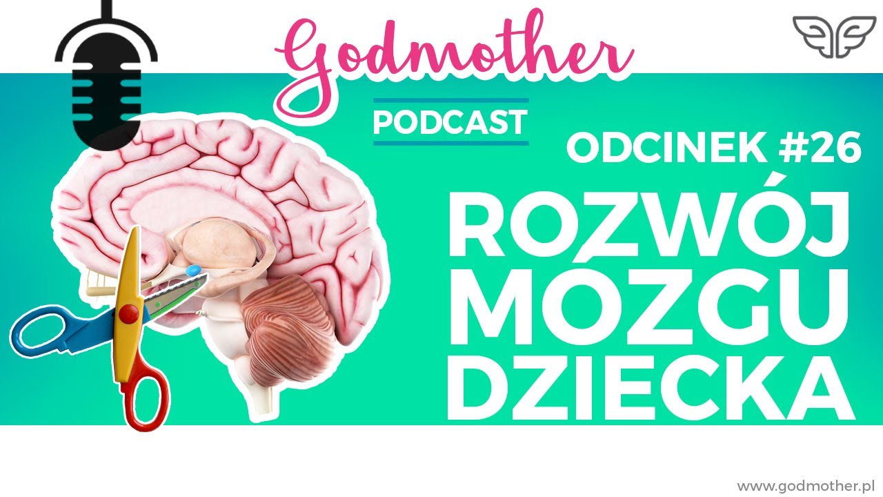 #26 Rozw&oacute;j m&oacute;zgu małego dziecka: przycinanie synaptyczne i stracone okazje | Godmother Podcast 🧠