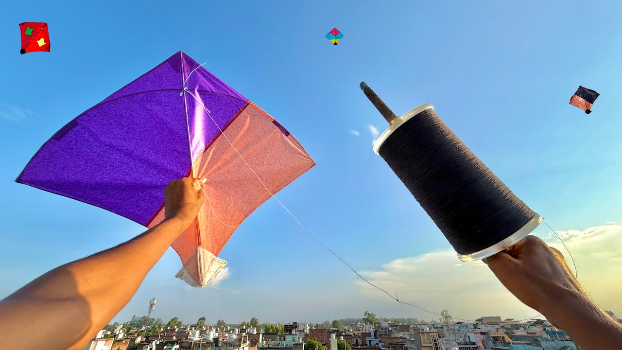 Kite Fighting On Sunday With White Tiger Manjha | Kite Cutting New video | Kite festival | Kite 
