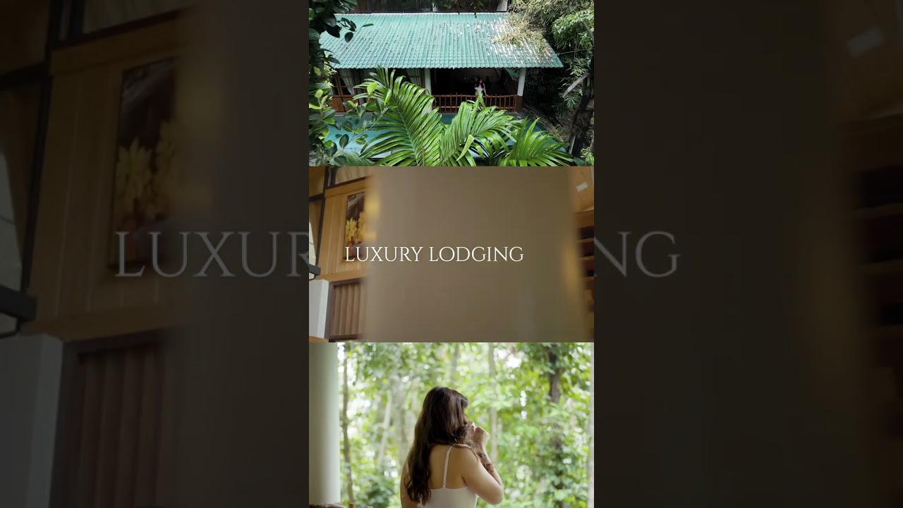 Luxury Lodging in Ella| ARANA ECO LODGE & YOGA CENTER #srilanka #shorts #ellasrilanka #aranasrilanka