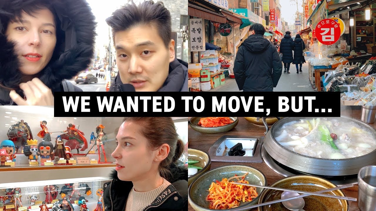 We Wanted to Move, BUT... | + Hospital & Anime Heaven 세라의 건강상태 업데이트 & 올해엔 이사가려고 했는데...