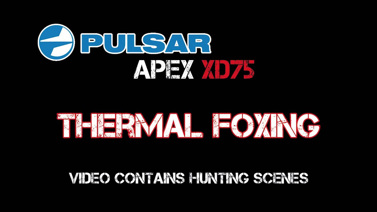 Fox Control with the Pulsar Apex XD75 Thermal Scope