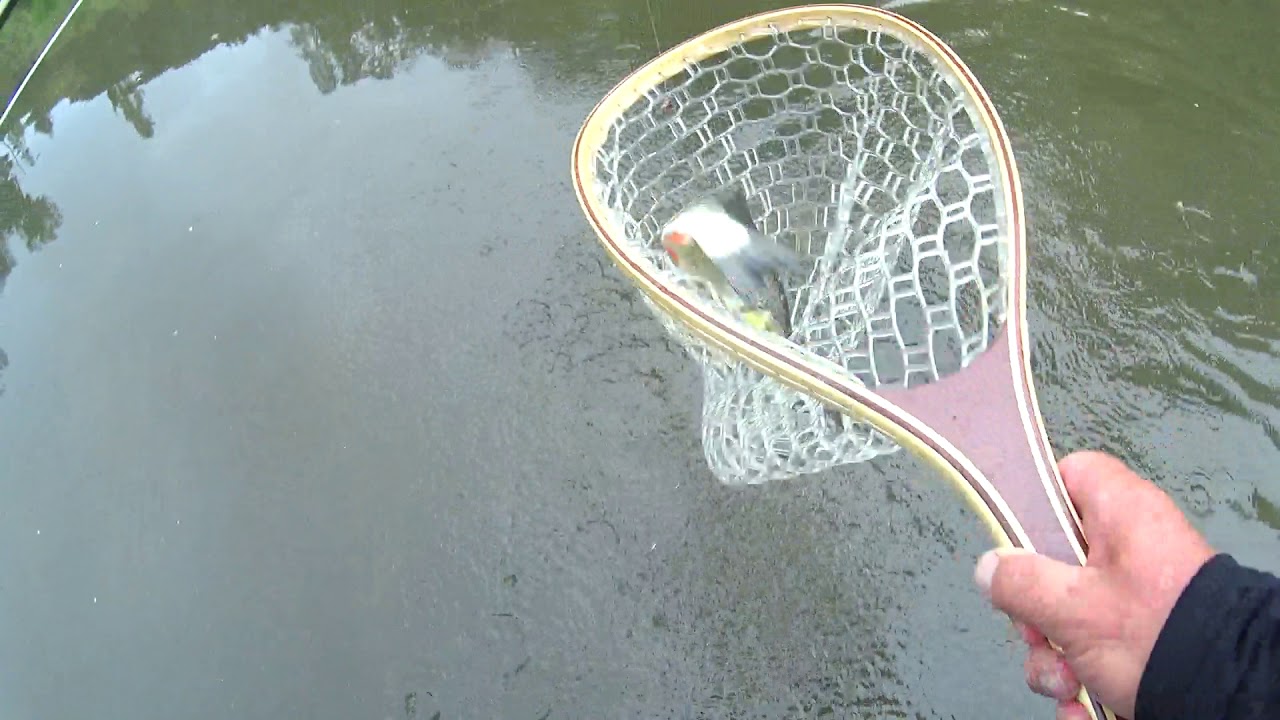 Fly Fishing Slovakia : Dry Fly fishing for Chub, Rajcanka River, Zilina, Slovakia
