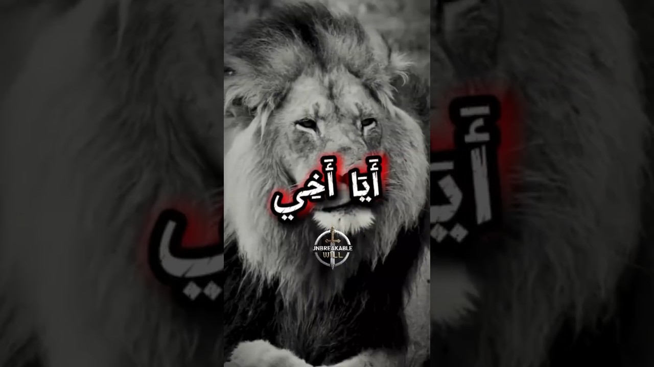 أين الأخ الحقيقي في هذا الزمن؟ 💔| كلمات ستلمس قلبك #أخي #الأخوة #تحفيز motivation#حكمة #كلام_من_ذهب