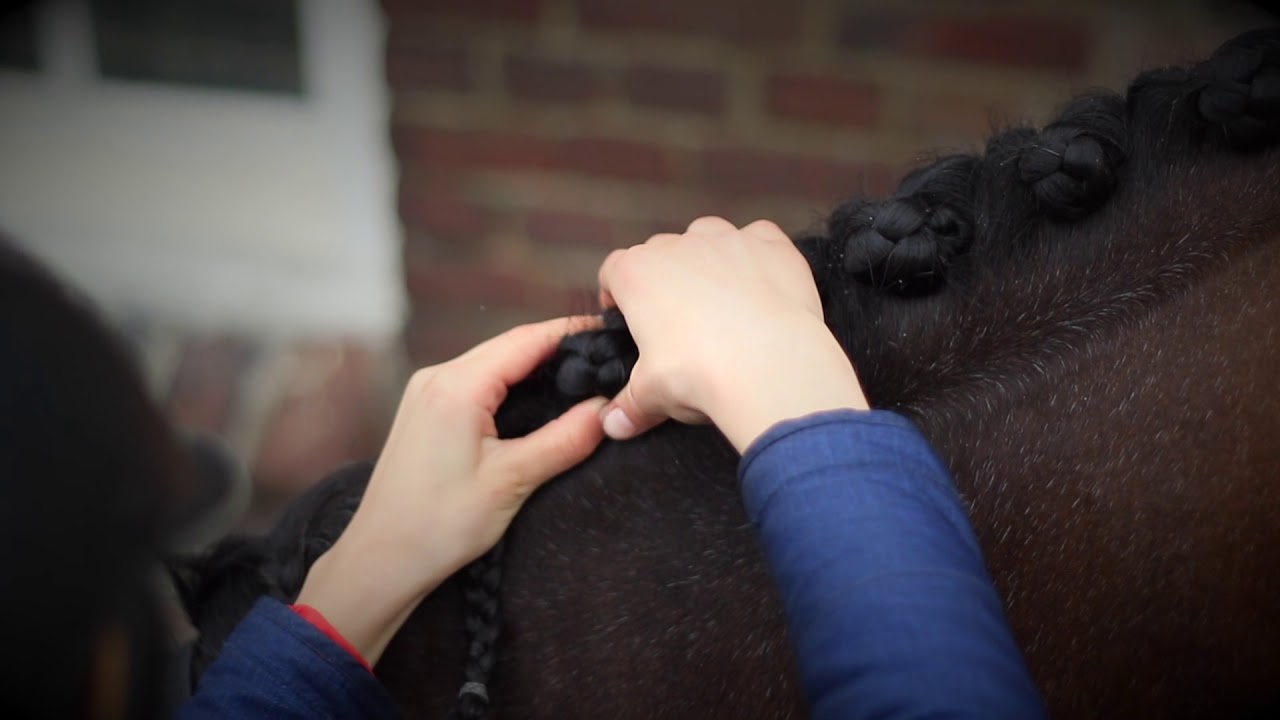 QUICK KNOT - How to plait your horse's mane using Quick Knot