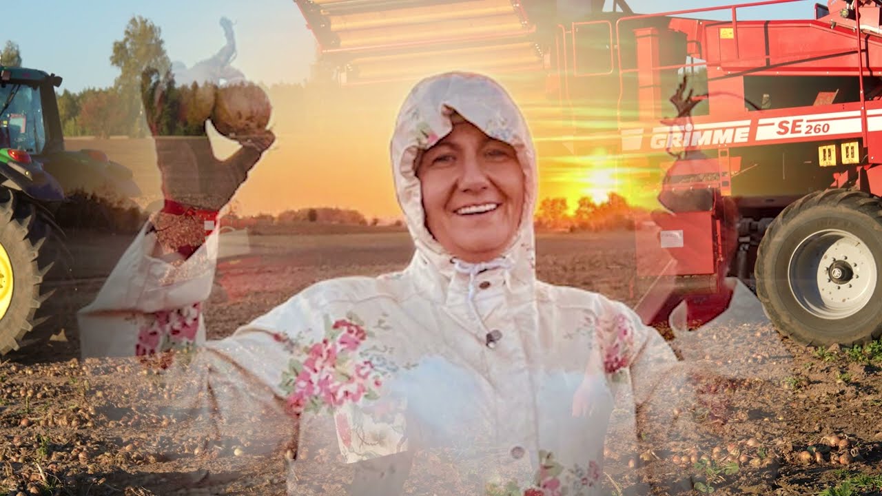 🚜🌾GR  Szkotowo zbiór Cebuli 2022🌾🚜 🧅 Pierwszy raz zasieliśmy i zebraliśmy cebulę🧅