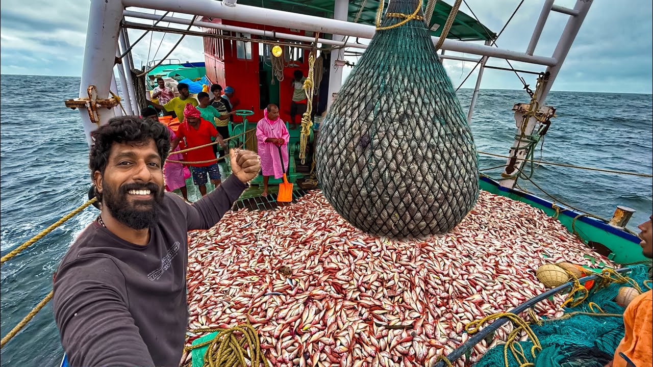 MASSIVE FISHING DAY 🤩🌊 Boat Filled with Kili Fish Catch | UNCUT VIDEO‼️.