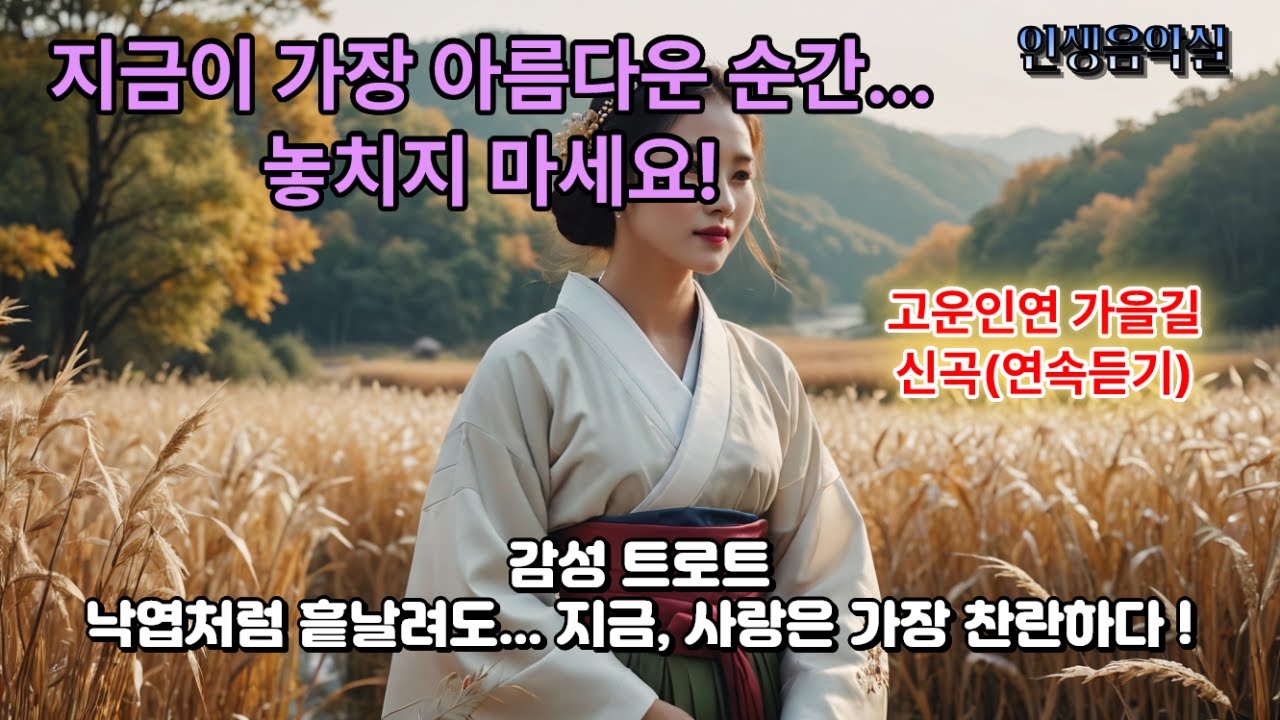고운인연 가을길 30분.#KPOP #신곡 #신곡추천 #인기트로트 #인생음악실 #고운인연가을길 #전유진스타일 #5070감성 #시니어추천곡  #인생노래 #치유음악  #명품보이스