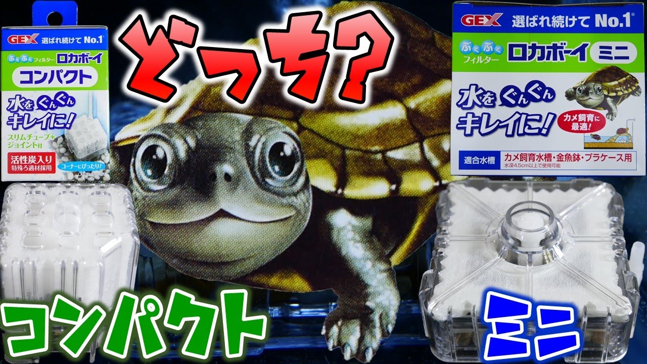 【投げ込み式フィルター】プラケースで使える極小サイズ。どっちが好み？GEX ロカボーイコンパクト＆ミニ【ふぶきテトラ】