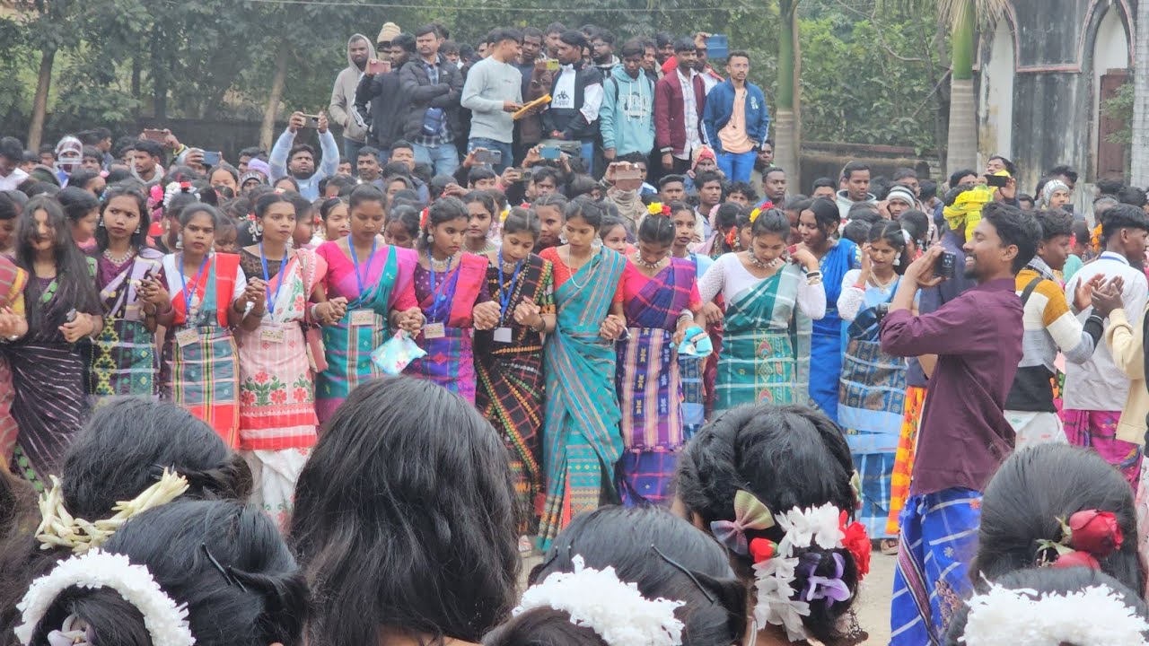 Jamtara college jamtara sohrai 2026||Jamtara sohray video 2026||Sohrai video 2026||
