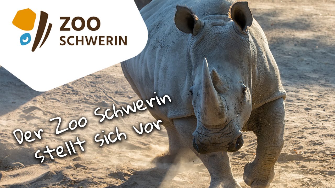 Der Zoo Schwerin - Imagefilm 2021/22