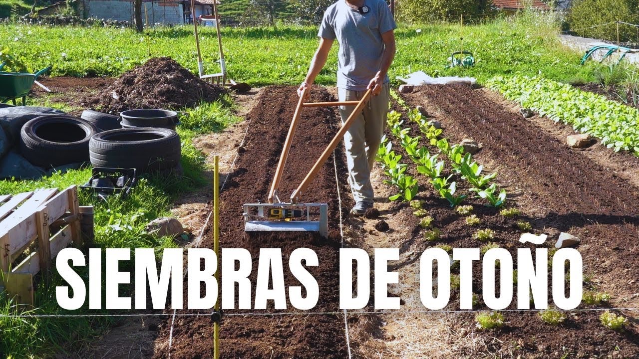 Siembras de otoño