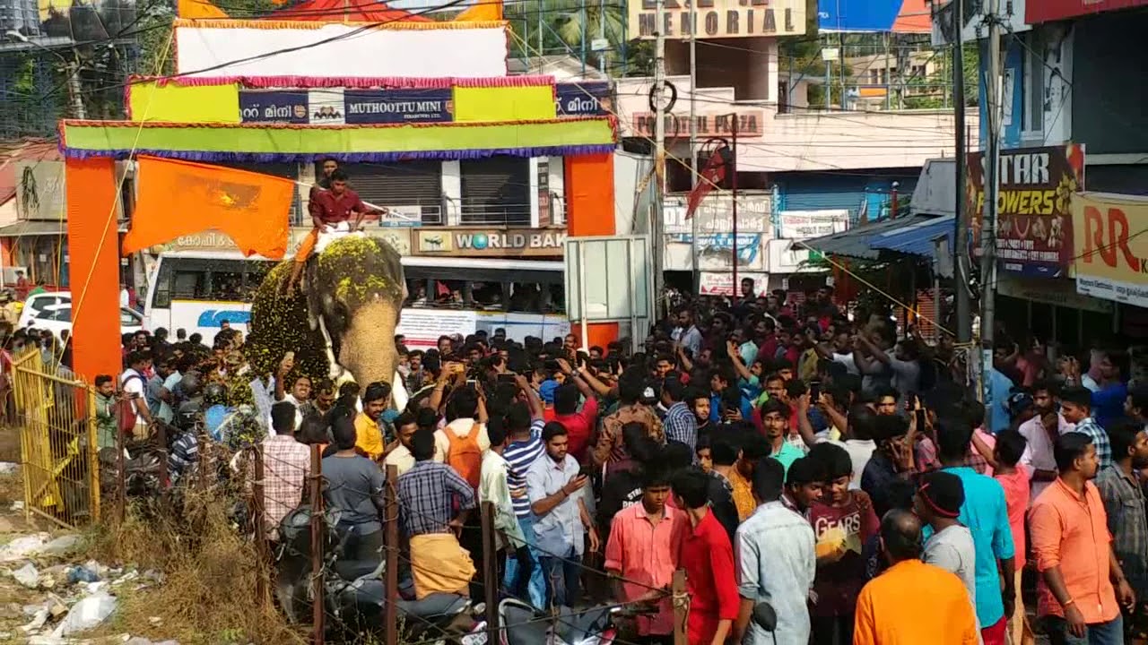 chirakkal kalidasan😍/mambi😍/@trivandrum 1st time🙏/varavellpu by aanapremikal🤩😍/kaliyum mambiyum