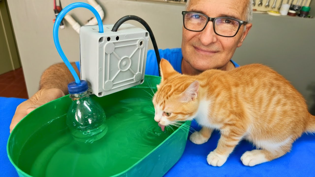 Como Hacer BEBEDERO AUTOMATICO para Animales 100% casero