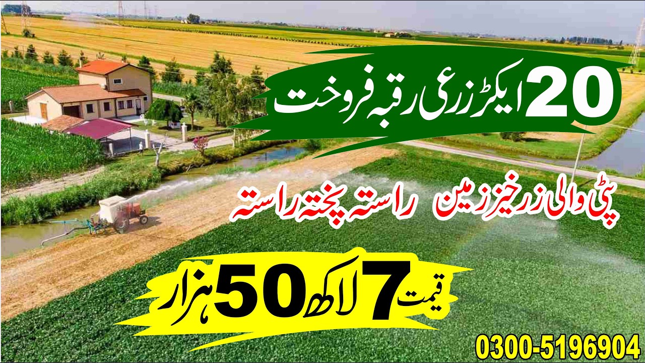 20 Acres Fertile Agriculture Land for Sale in Punjab Pakistan | Affordable Farming Land