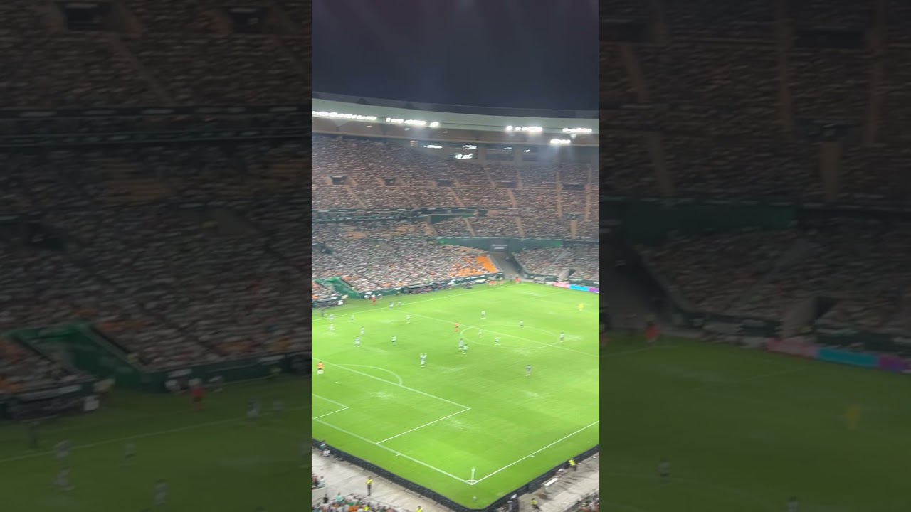 Tremendo 😍 parte 4 estadio la cartuja Real Betis Balompi&eacute; #estadio #betis #sevilla #ultras #futbol