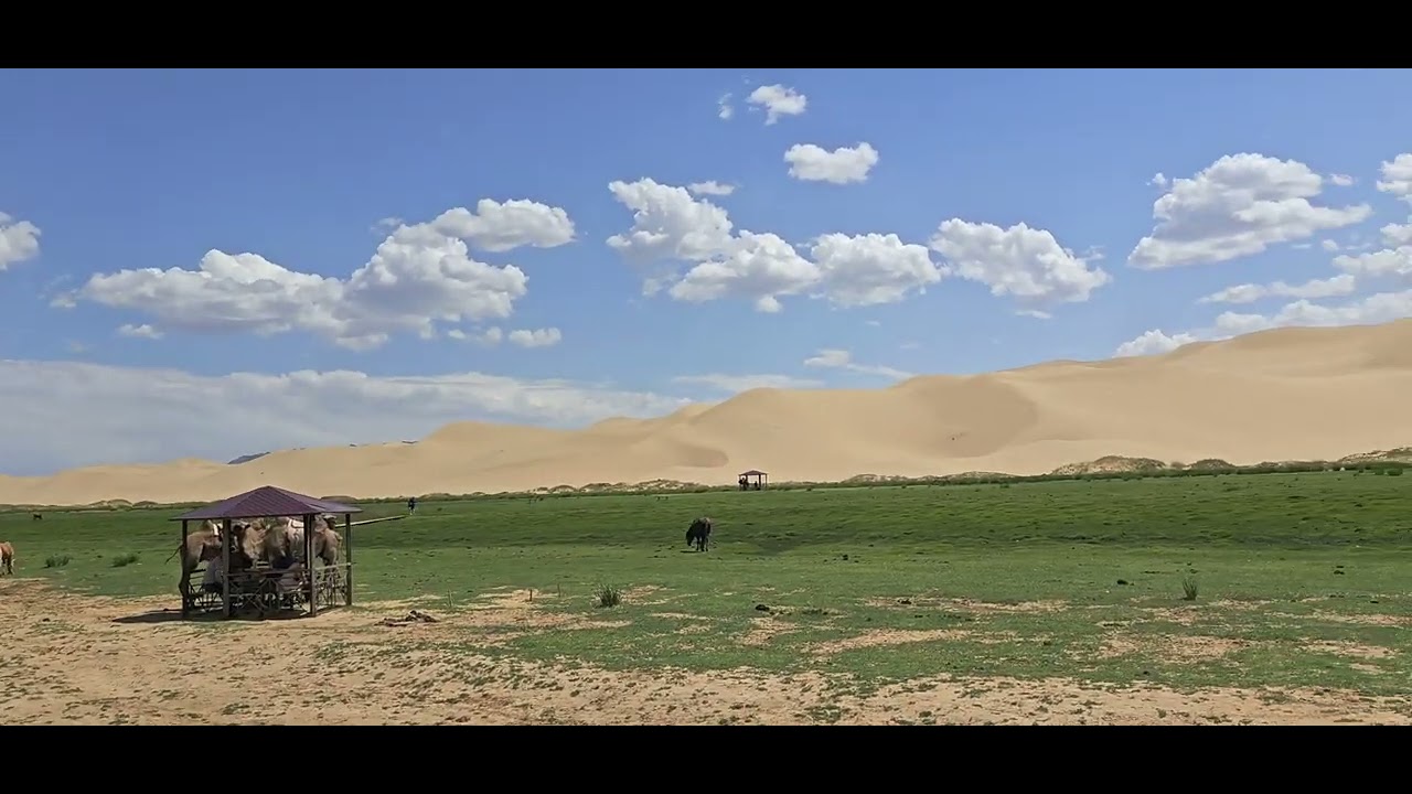 Khongoryn Els (Gobi Desert, Dalanzadgad) 1
