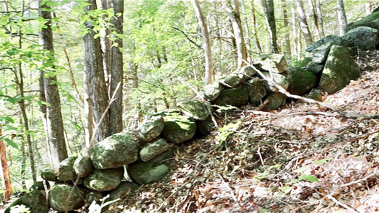 Old spot found by following this crazy stone wall up the hill metal detecting