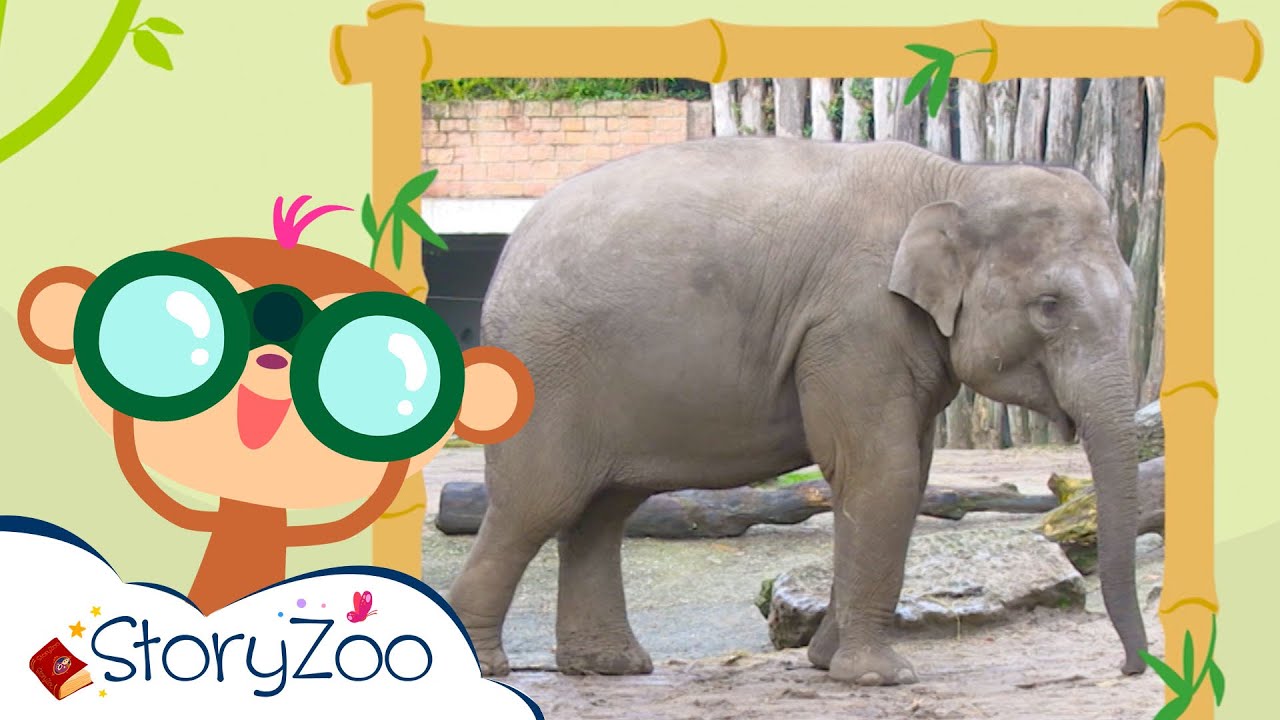 StoryZoo | StoryZoo op avontuur in de Dierentuin - Olifant! | Educatieve video's voor kinderen