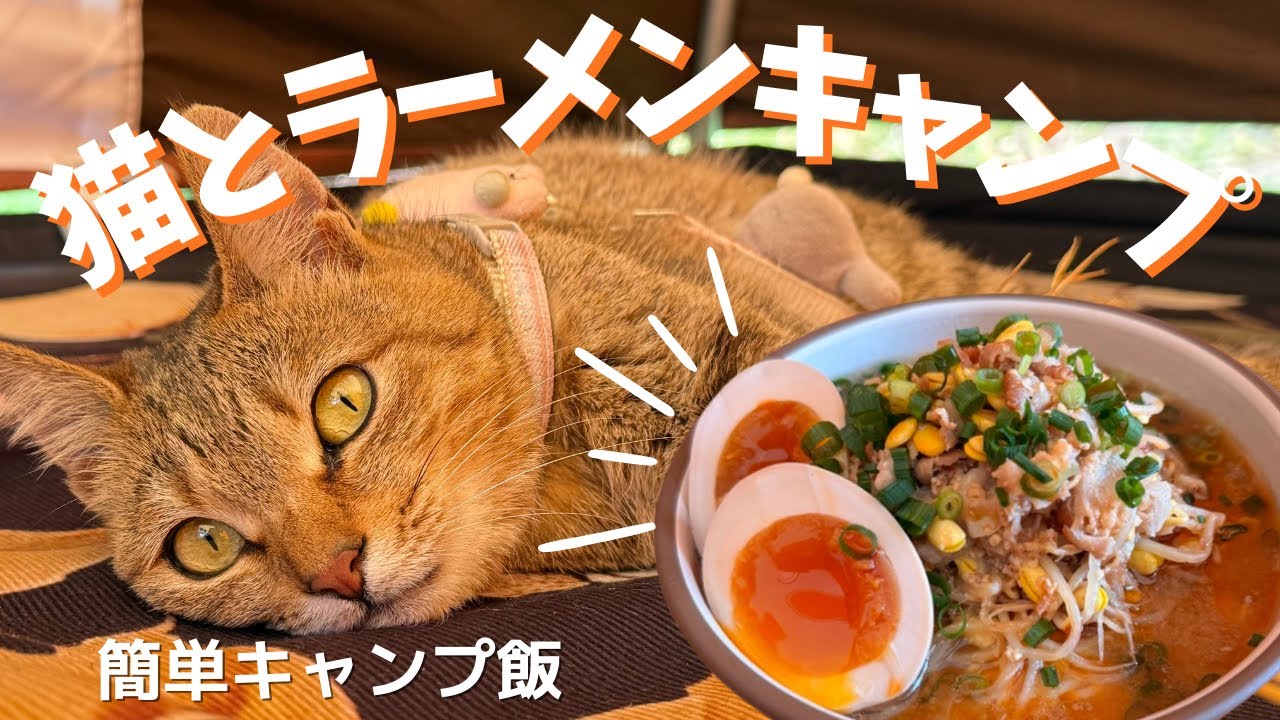 【ソロキャンプ】猫と庭キャンプでラーメン作って食べた！【キャンプ女子･昭和レトロ･pajamamoon】