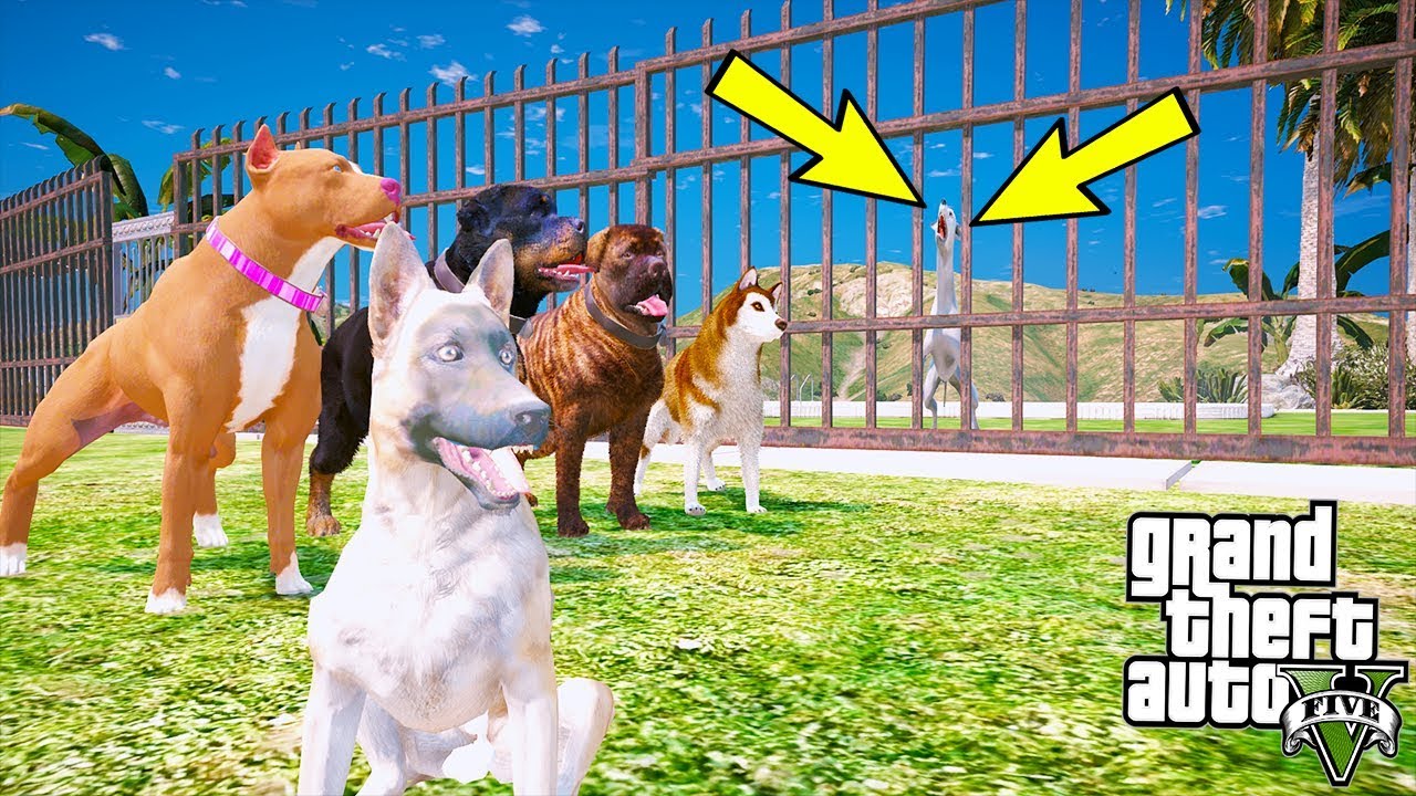 EĞİTİMLİ DOBERMAN ŞEYTAN TEK BAŞINA EVİMİZİ BASIYOR! - GTA 5