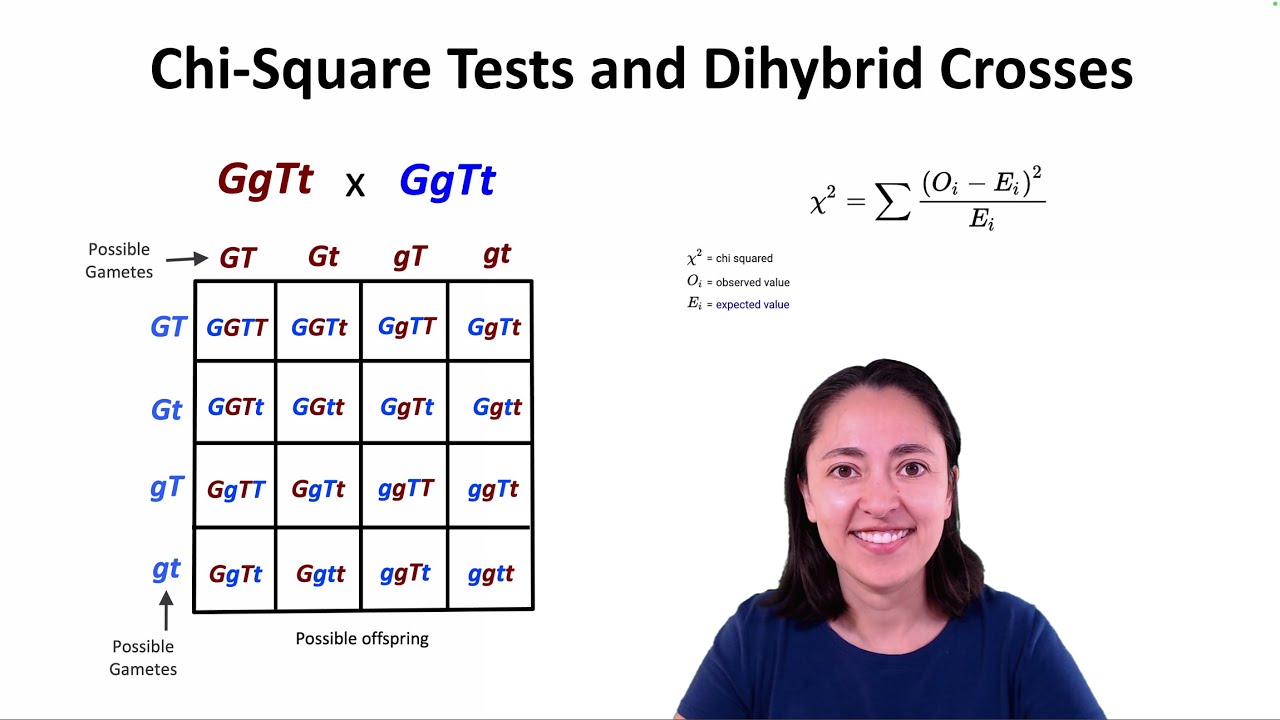 Chi-Square Tests and Dihybrid Crosses