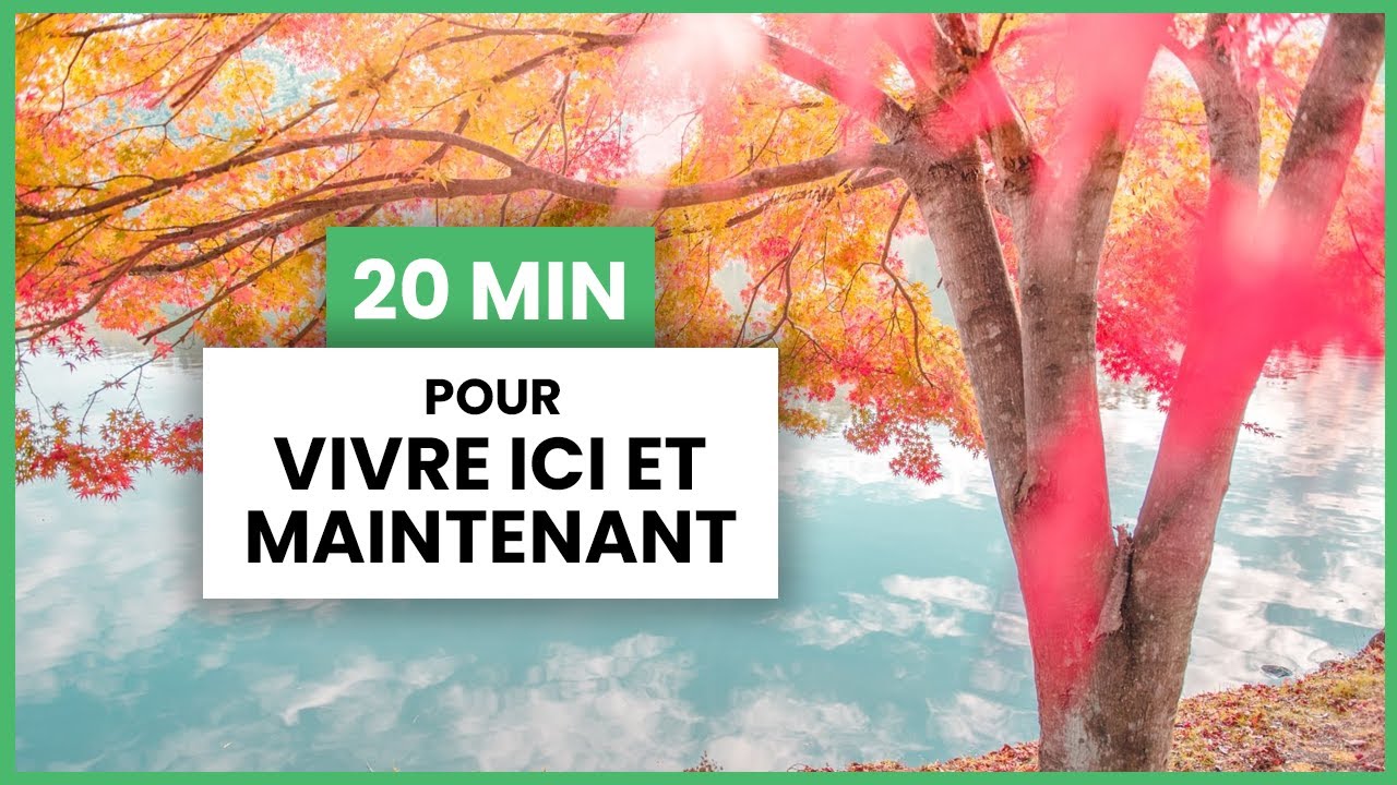 [20 min.] Vivre ici et maintenant • Séance de méditation guidée par Lucie Pascutto