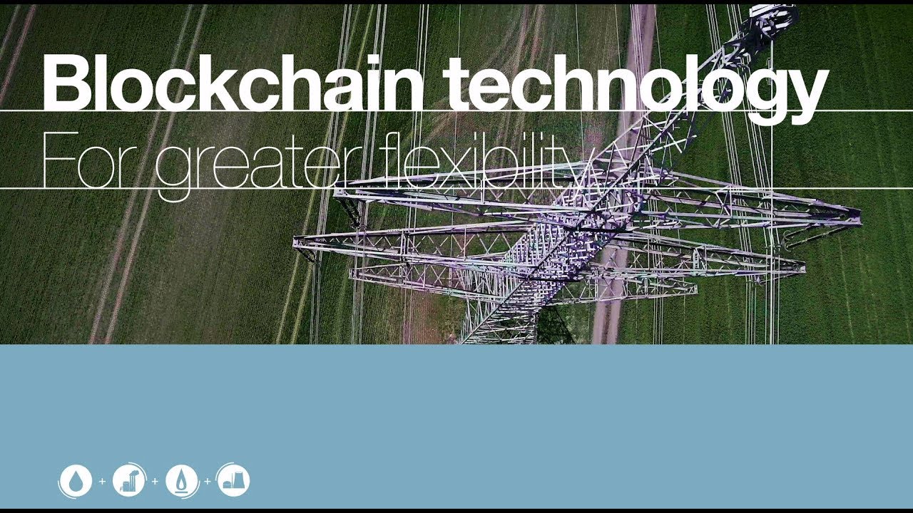 Blockchain technology for greater flexibility in the electricity grid system TenneT