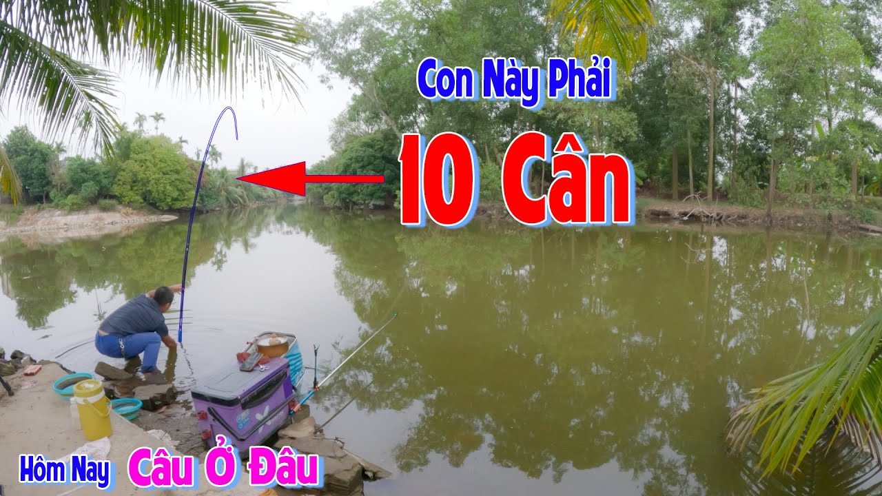 Hôm Nay Câu Ở Đâu tập 6 | Không Ngờ Nước Sâu Chỉ 1m Mà Dính CÁ KHỦNG Đến Vậy