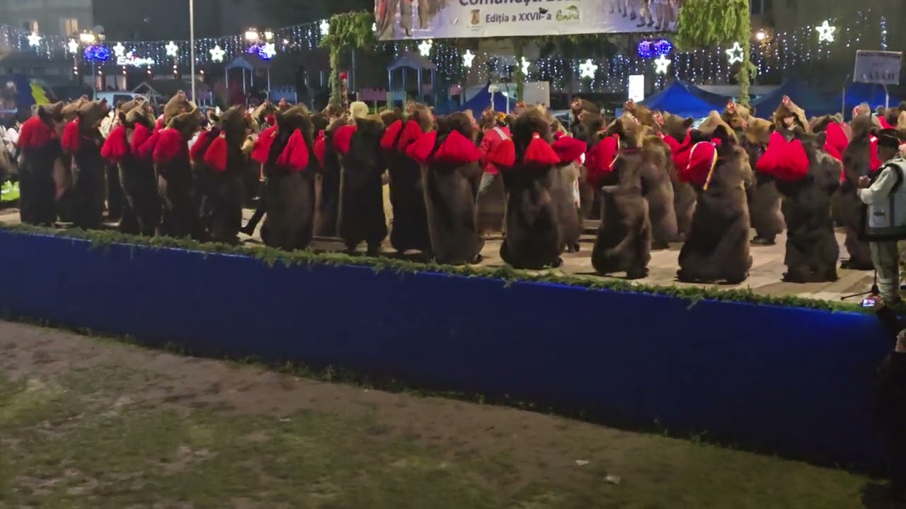URSUL DIN COMĂNEȘTI -ZĂVOI, 30 DECEMBRIE 2024 FESTIVALUL DE DATINI STRĂMOȘEȘTI COMĂNEȘTI JUD BACAU