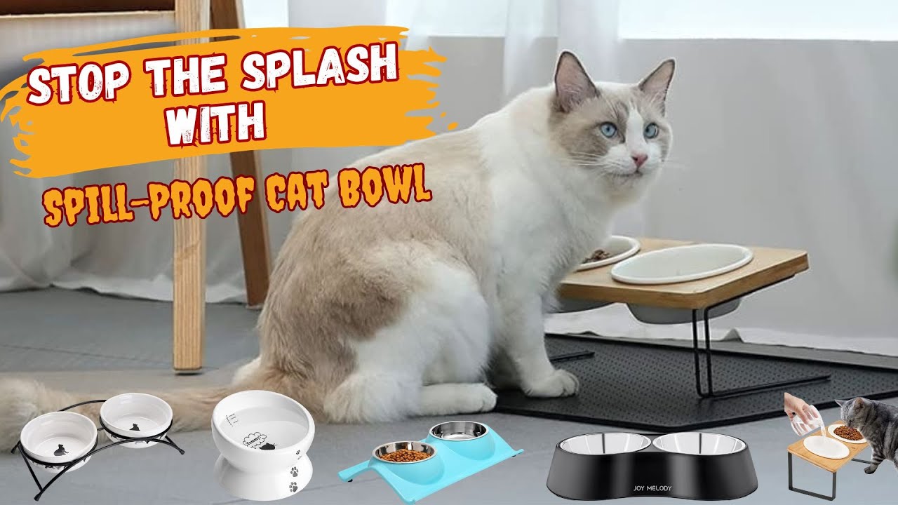 Best Spill-Proof Cat Water Bowls - Mess Free Cat Feeding