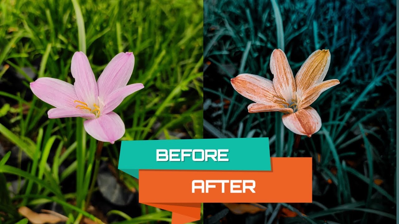 flower editing in lightroom mobile , creative photography ideas ,instagram viral photography  ll