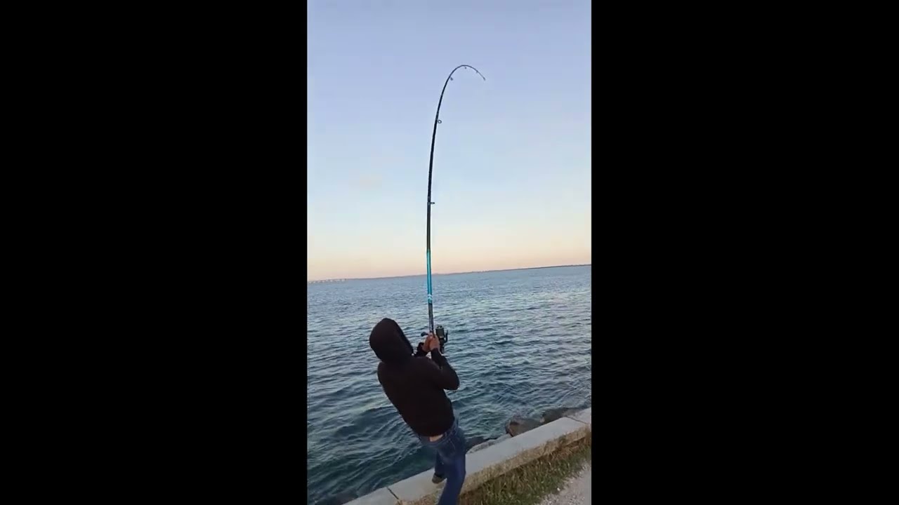 Pesca as corvinas no Rio tejo 40.300KG