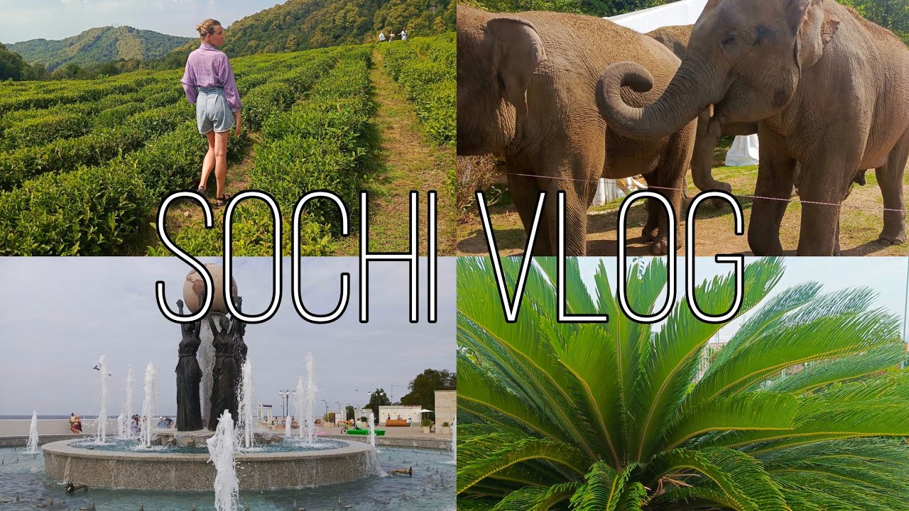 TRAVEL BLOG ✈️ Парк СЛОНОВ, Орнитологический парк, МОРЕ