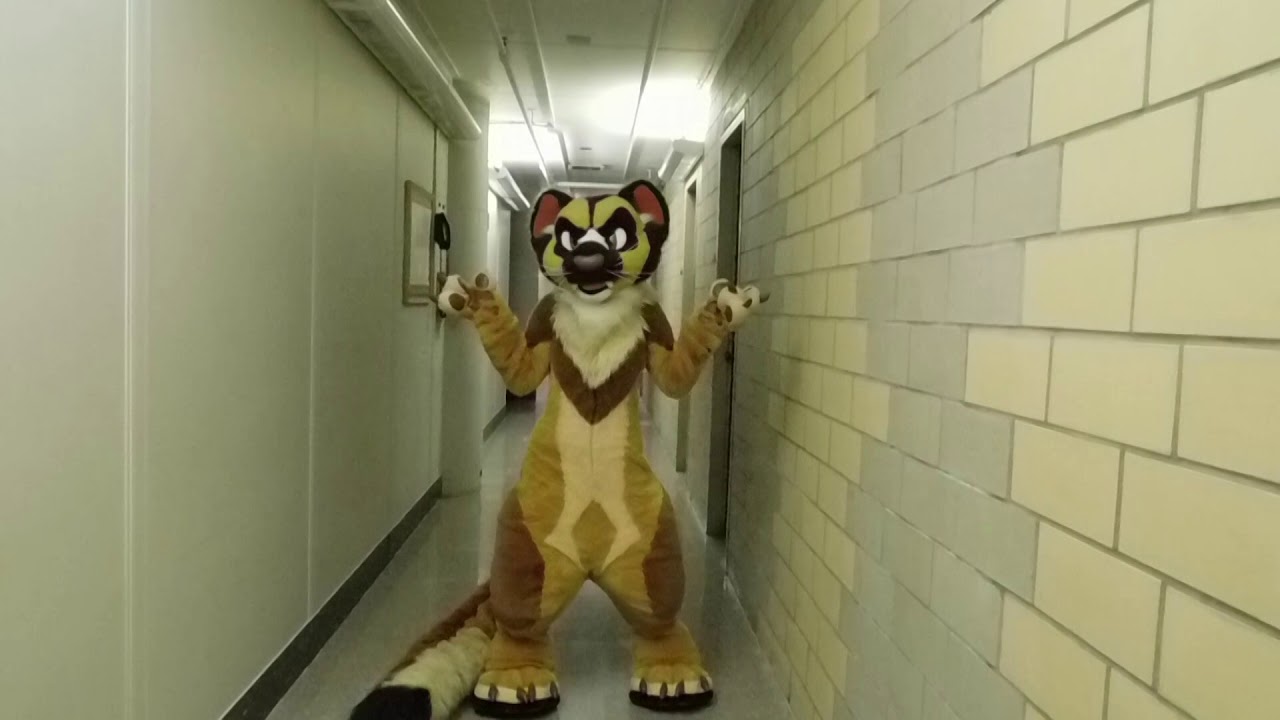 Look, Ma!