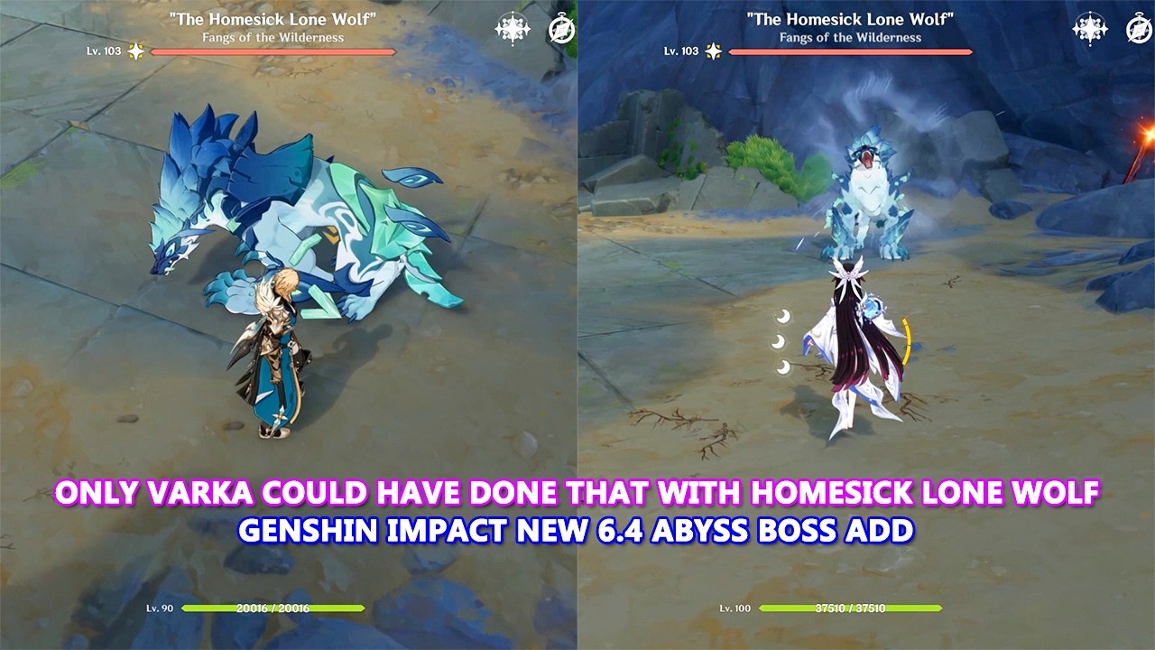 Only Varka could have done that with Homesick Lone Wolf | Genshin Impact New 6.4 Abyss Boss Add