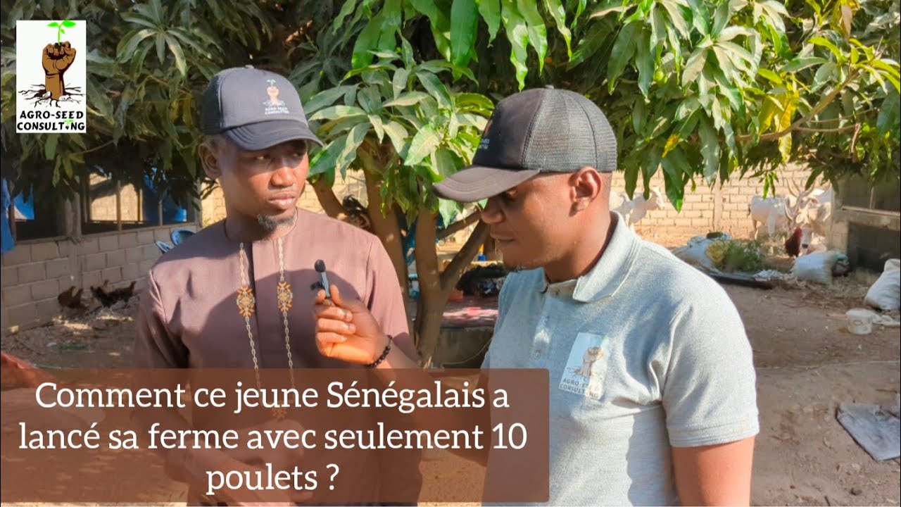 Comment ce jeune Sénégalais a lancé sa ferme avec seulement 10 poulets ?
