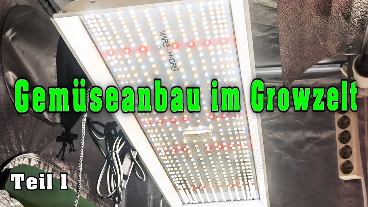 Das Growzelt Gem&uuml;seanbau im Winter Projekt mit Mars Hydro TSL2000 light, Teil1