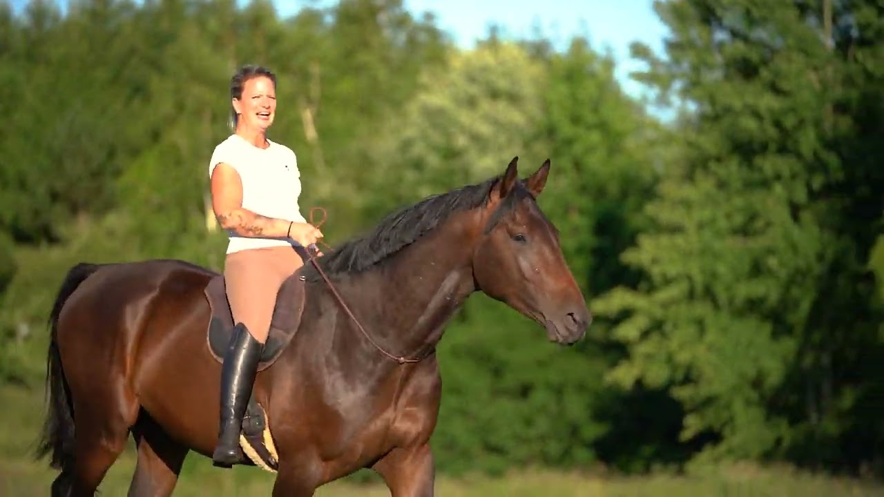 Obsedání 3 letého hřebce bez uzdečky a bez sedla