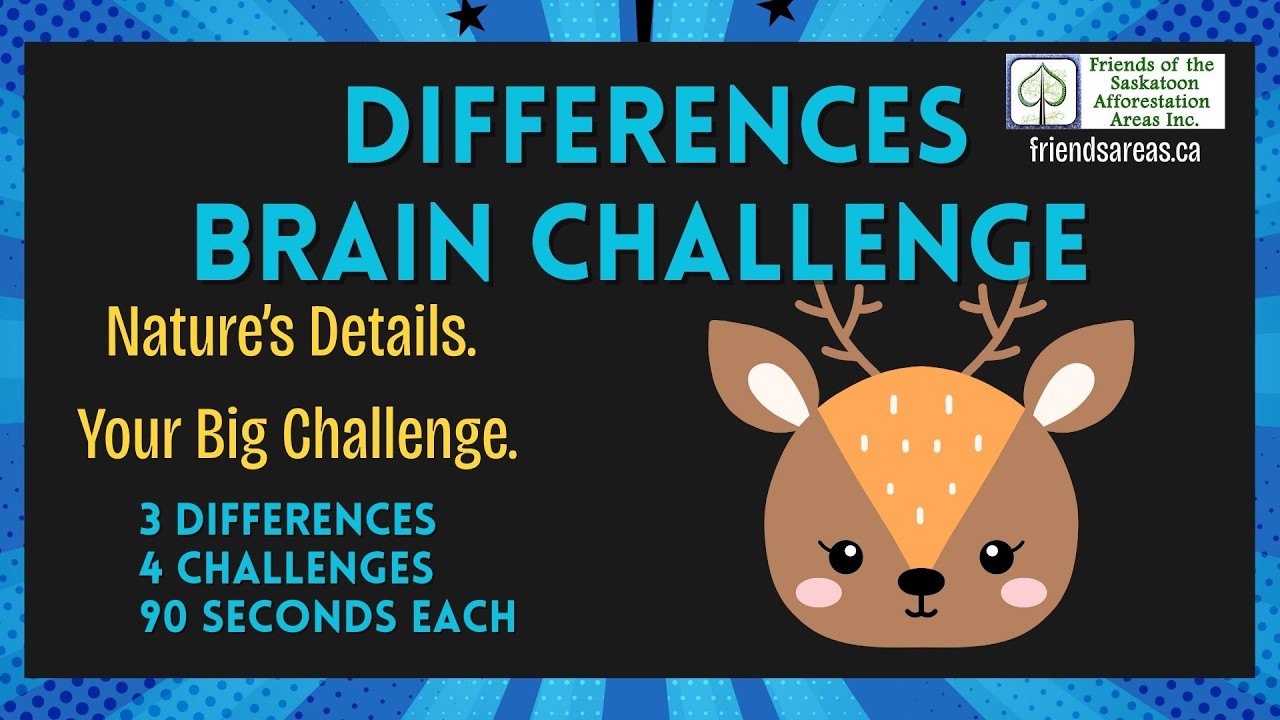 Can You Spot the Differences in this Prairie Birds Brain Challenge? Nature Challenge!