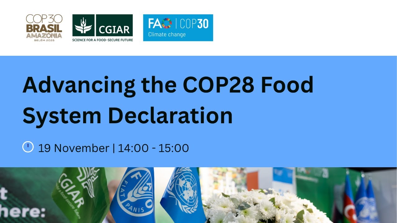 Advancing the Food System Declaration