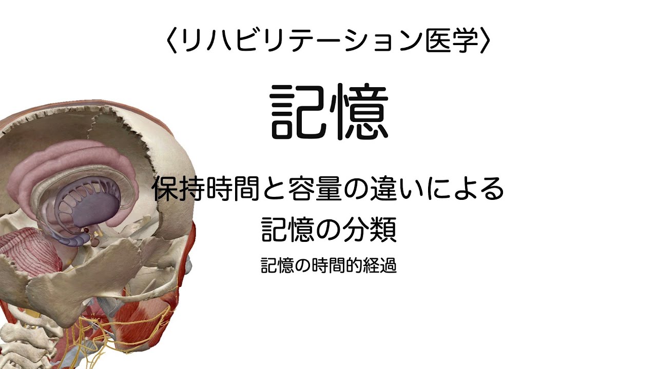 【医学】記憶 保持時間と容量による記憶の分類