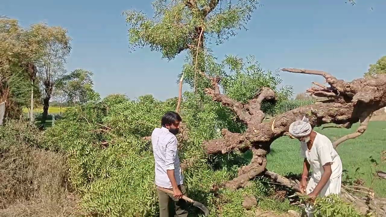 જોરખા વાળા બાપુ 😊🤝ll ગુજ્જુ ગોટાળો 🤪 ll gujju gotalo 