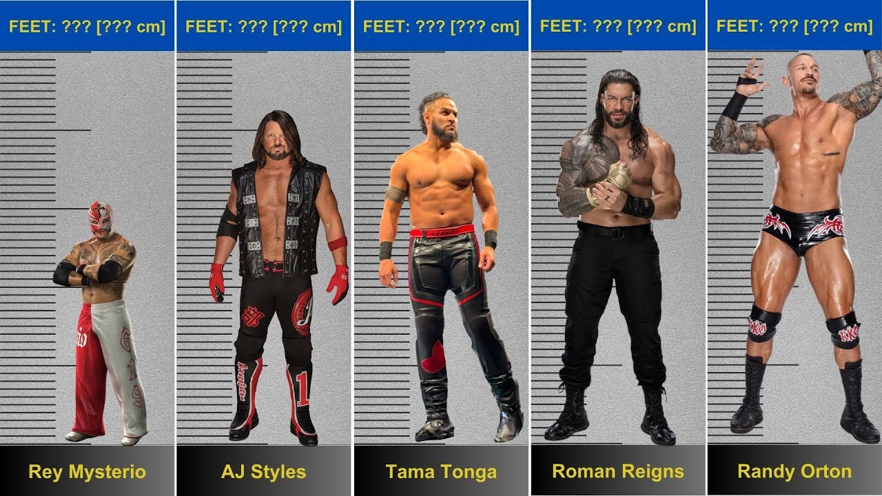 WWE Superstars Height Comparison Chart 2025 | Shortest Up Tallest