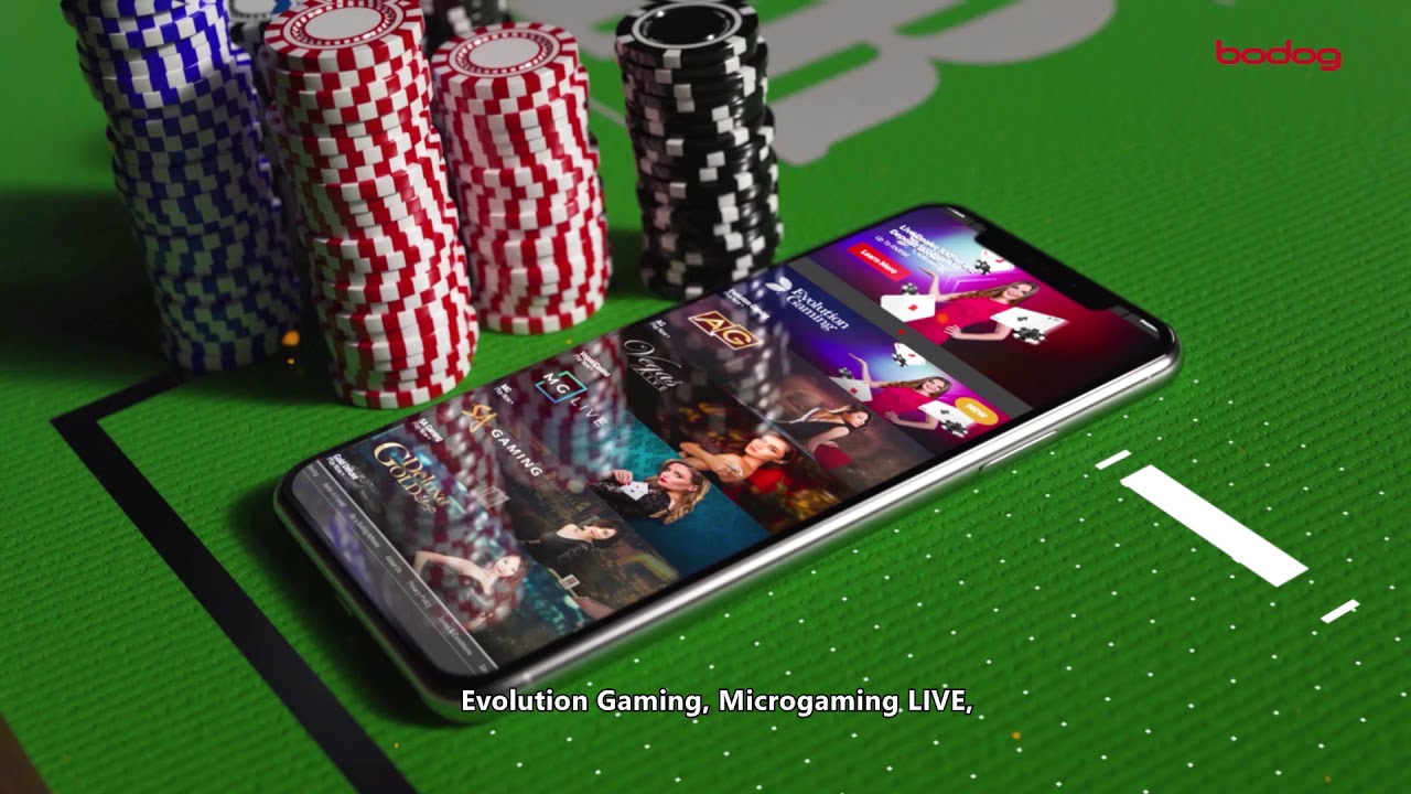 Bodog88 Malaysia - Leading Live Dealer Online Betting Website