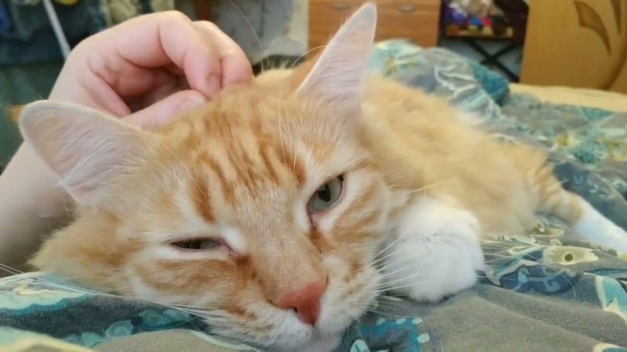 Самый Мурррчательный Кузенька❤❤❤