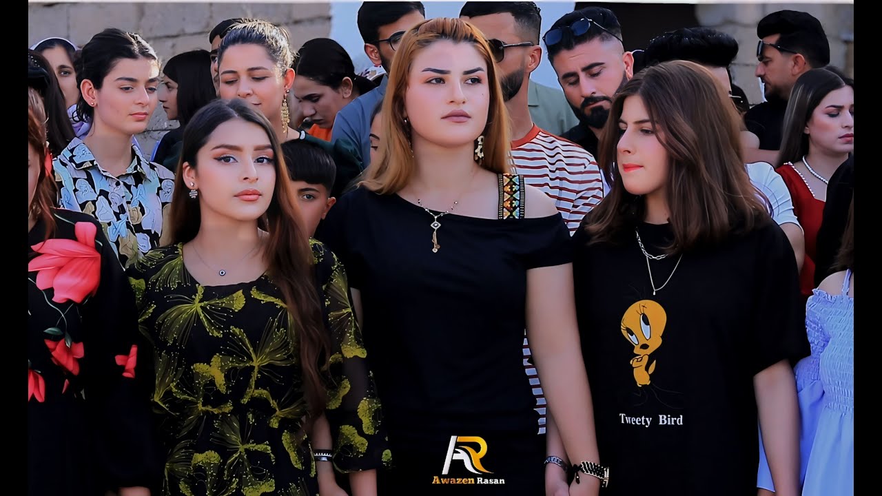 جمايا شيشمس فنان ياسر شنكالي و خيري حليقي ديلانا سي بي