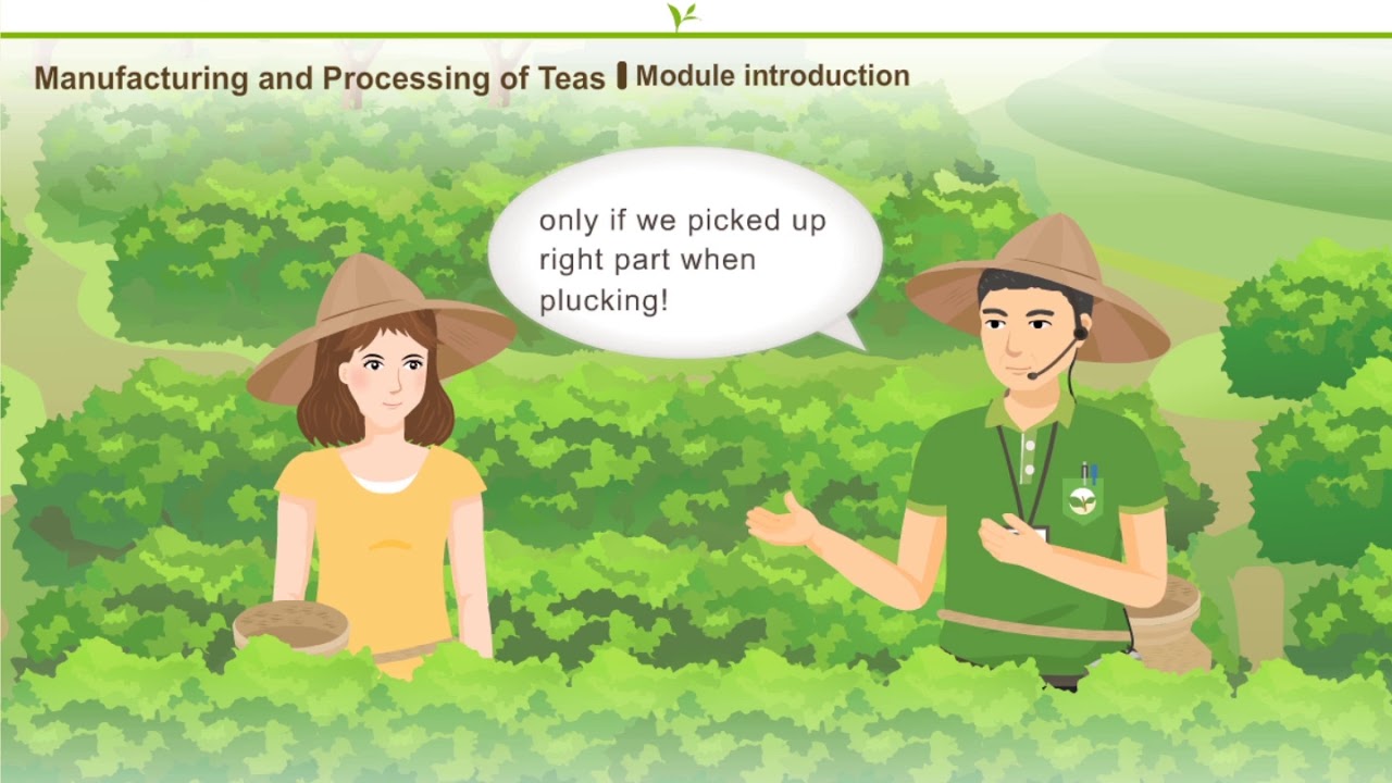 4-1Manufacturing and Processing of Tea- Module introduction