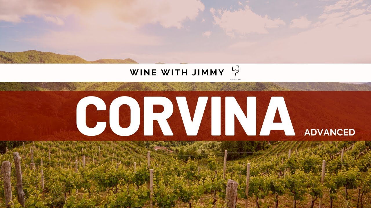 Grape Varieties - Corvina Veronese Advanced ideal for WSET Level 3 and Level 4 (WSET Diploma)