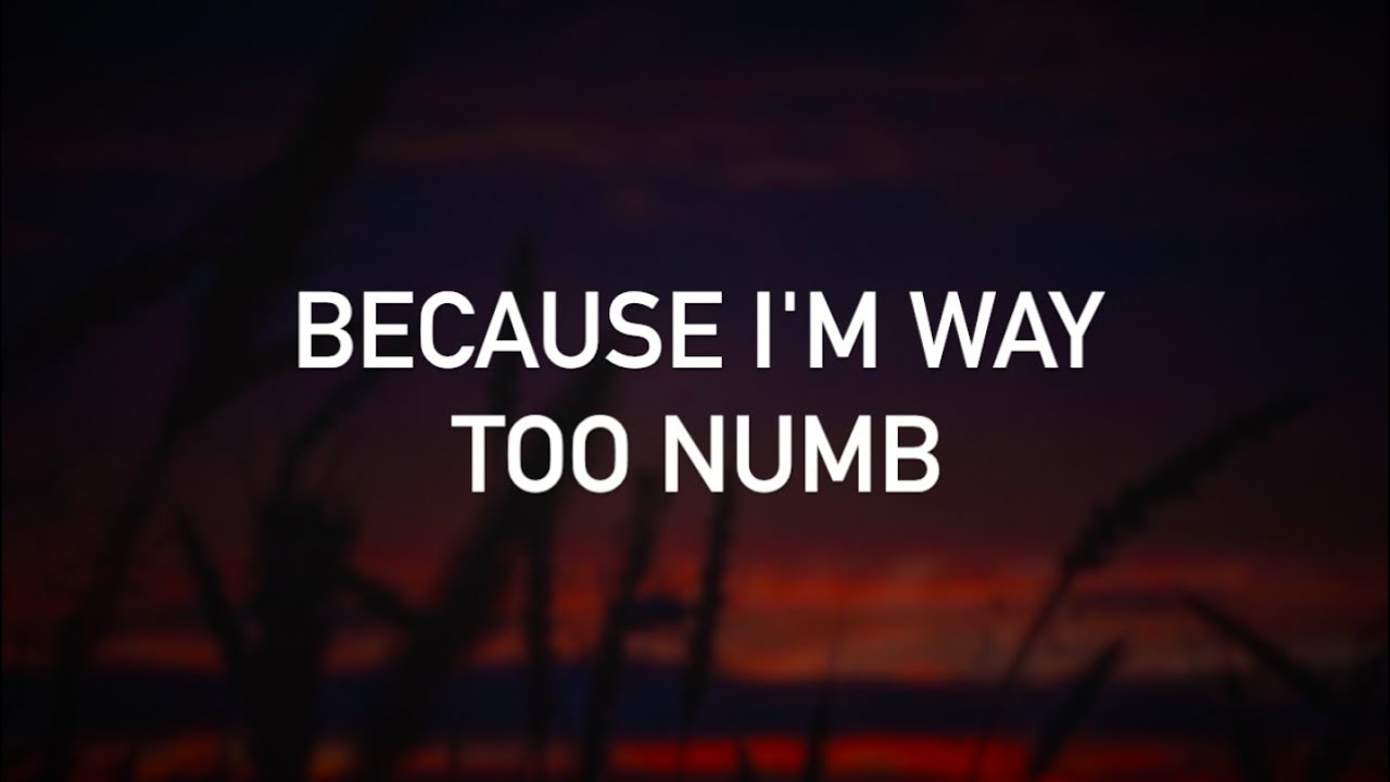 Conor Maynard, Anth - Numb (with lyrics)