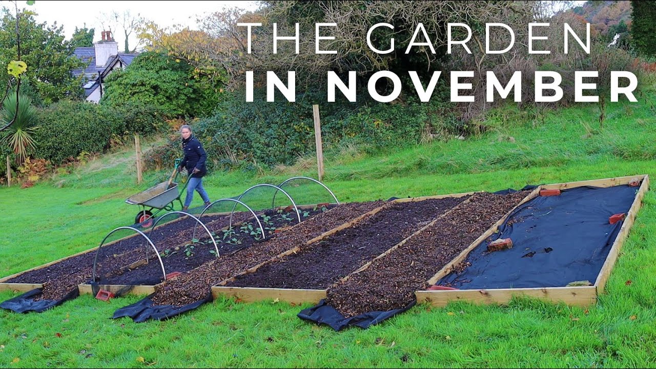 The Garden in November